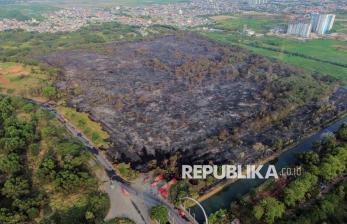 30 Hektare Lahan Alang-alang Terbakar di Rorotan, Petugas Berjibaku Padamkan Api