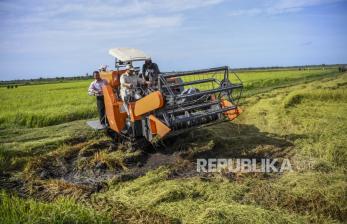 Upaya Tingkatkan Produktivitas Pertanian, Kementan Bakal Cetak Sawah 500 Ribu Hektare 