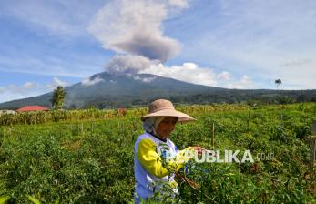 In Picture: Gunung Marapi di Sumbar Erupsi, Tinggi Kolom Abu Capai 1.000 Meter