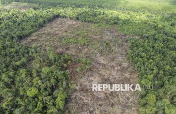 In Picture: Penampakan Perambahan Hutan Lindung Gambut Sungai Bram Itam