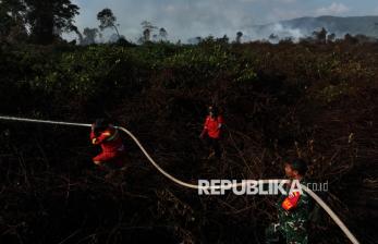 Karhutla di Kolaka Timur Meluas hingga 273 Hektare, Petugas Kesulitan Padamkan Titik Api