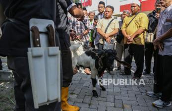 DMI Semarang Adakan Pelatihan Penyembelihan Hewan Kurban