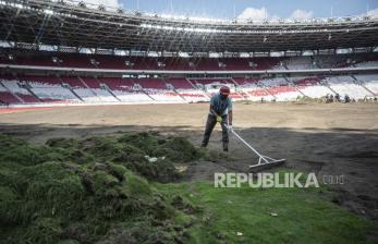 In Picture: Melihat Proses Revitalisasi Rumput Stadion GBK