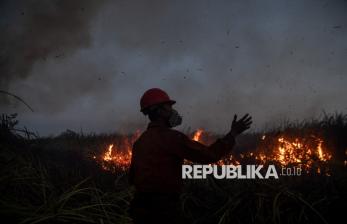Petugas dan Warga Bahu-Membahu Padamkan Karhutla di Ogan Ilir