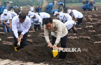 In Picture: Wapres Gibran Ikut Tanam Tebu Bersama Petani di Banyuwangi