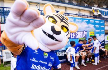 Persibday Festival, Cara Maung Bandung Dekatkan Diri dengan Bobotoh