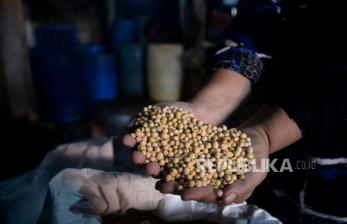 Pemkot Surakarta Sebut Ada Skenario untuk Impor Kedelai (ilustrasi).