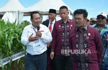 Benih Jagung Hibrida Bioteknologi Diluncurkan, Diklaim Mampu Dongkrak Hasil Panen Petani