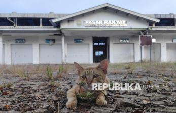 Potret Suram Pasar Rakyat Desa Petaling Jambi yang Terbengkalai