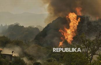 In Picture: Kebakaran Hutan Kepung Kota Patras Yunani, Warga Bersiap Mengungsi