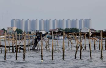 Kelindan PSN dan Pagar Laut di Pesisir Tangerang