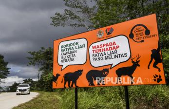 Papan peringatan jalur perlintasan satwa liar terpasang di sisi Jalan Samboja-Sepaku yang masuk ke dalam koridor satwa Ibu Kota Negara (IKN) Nusantara di Kutai Kartanegara, Kalimantan Timur, Senin (14/3/2022). Pada koridor satwa IKN Nusantara direncanakan akan dibangun underpass dan flyover sebagai perlintasan satwa liar. 
