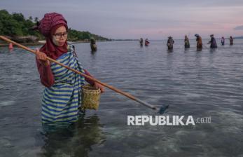 Mengenal Hekente, Tradisi Mencari Ikan Kaum Perempuan di Wakatobi