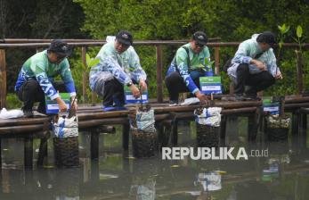 In Picture: Jaga Kelestarian Alam, BPKH Tanam 1.000 Pohon Mangrove