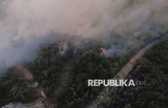 Kebakaran Lahan Melanda Kariangau Balikpapan, Tujuh Unit Mobil Pemadam Dikerahkan