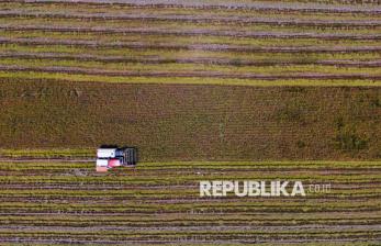 Bulog Sulawesi Tenggara Serap 15 Ribu Ton Gabah Kering Petani