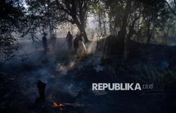 Kebakaran Lahan di Ogan Ilir Berhasil Dipadamkan, Titik Api Tak Lagi Meluas