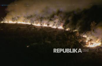 Kebakaran Lahan di Ogan Ilir Meluas, Kencangnya Angin Hambat Proses Pemadaman