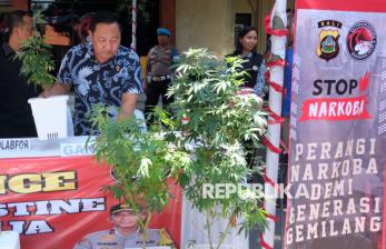 In Picture: Tanam Ganja Secara Hidroponik, Dua WNA Ditangkap di Denpasar