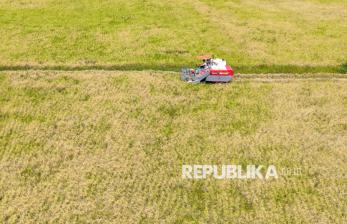 Lahan Bekas Sawit di Ogan Ilir Berubah Jadi Hamparan Sawah Produktif