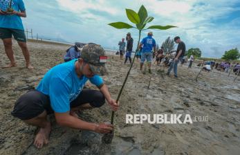 In Picture: Penanaman Bibit Mangrove Peringati Hari Satu Juta Pohon