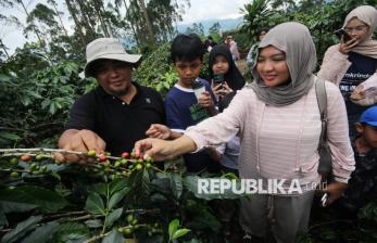 Mengunjungi Wisata Edukasi Kopi di Pangalengan