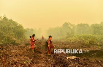 Titik Api Baru Terdeteksi di Tahura Orang Kayo Hitam Jambi
