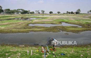 Debit Air Waduk Sumur Karang Menyusut, Sawah di Tangerang Terancam Puso