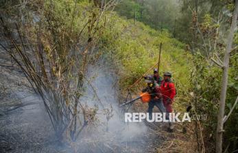 Petugas Berjibaku Padamkan Kebakaran Hutan di Lereng Gunung Semeru
