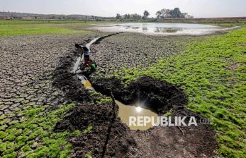 Waduk Sumberkepuh Nganjuk Mengering, Irigasi 400 Hektare Lahan Pertanian Terdampak