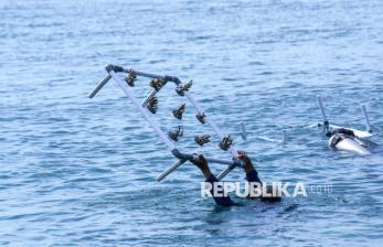 In Picture: Pasukan Katak Lakukan Rehabilitasi Terumbu Karang di Pantai Bangsring