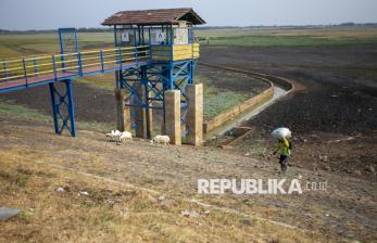 Saat Waduk Cipancuh Mengering di Tengah Kemarau Panjang