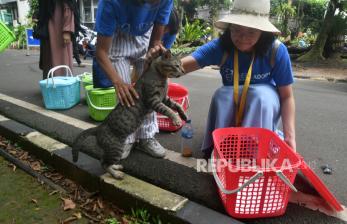 Cegah Populasi Berlebih, Relawan Tangkap Kucing Liar untuk Disterilisasi di Bogor