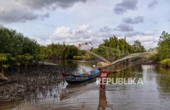 In Picture: Mengunjungi Wisata Mangrove di Segara Anakan Cilacap