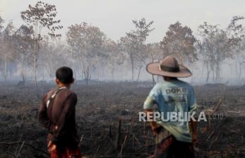 In Picture: Aktivitas Buka Lahan dengan Cara Dibakar Masih Marak Terjadi di Aceh Barat