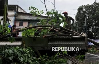 Diterjang Hujan Angin, Pohon Tumbang Robohkan Tiang Listrik dan Tutup Jalan
