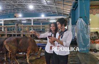 Cara Unik Penjual Hewan Kurban di Depok Gaet Pembeli