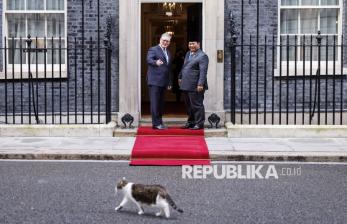 Larry the Cat Ikut Sambut Kedatangan Presiden Prabowo di Downing Street
