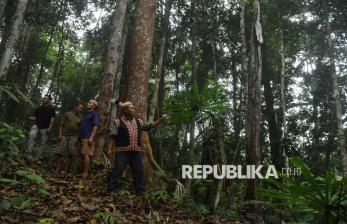 Patroli Hutan Dayak Bahau, Upaya Menjaga Alam dan Wilayah Adat