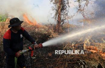 Menteri LHK Tekankan Pentingnya Deteksi Dini Cegah Kebakaran Lahan