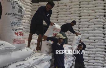 Stok Pupuk Bersubsidi untuk Musim Tanam 2025 Capai 1.496.877 Ton