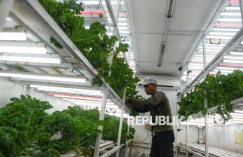 Kontainer Bekas Disulap Jadi Tempat Budidaya Pertanian Modern