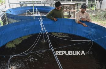 Kelompok Nelayan di Dumai Manfaatkan PLTS untuk Budidaya Ikan Nila