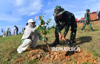 Rehabilitasi Lahan Bekas Tambang, TNI Tanam 10.100 Pohon Ulin di Kaltim