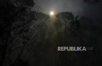 Kolombia Berhasil Tekan Deforestasi, Indonesia Fokus Rehabilitasi
