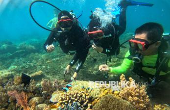 In Picture: Eksotisme Pemandangan Bawah Laut Pantai Bangsring
