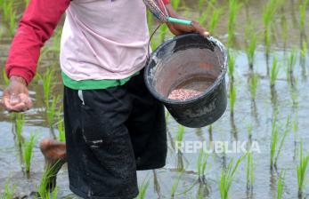 Komisi IV DPR RI meminta Kementerian Pertanian (Kementan) untuk kembali membenahi data penerima pupuk bersubsidi. (ilustrasi).