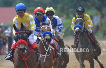 In Picture: Adu Cepat di Ajang Pacu Kuda Bukittinggi