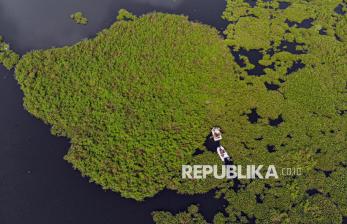 Penampakan Situ Gunung Putri Bogor yang Dipenuhi Eceng Gondok