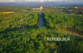 Menhut Janjikan Pemanfaatan Hutan untuk Cadangan Pangan tak Picu Deforestasi